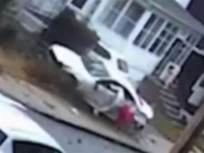 "Но, если туп, как дерево — родишься баобабом, и будешь баобабом тыщу лет, пока помрешь."