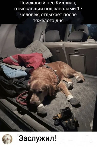 Свежая подборка юмора для отличного настроения!