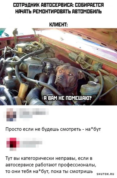 Свежая подборка юмора для отличного настроения!