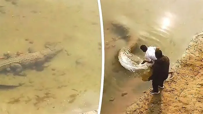 Эх, такой окунь сорвался! А так бы пообедали всей деревней