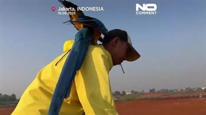 Автомеханик Дмитрий Хруст и его пернатые любимцы