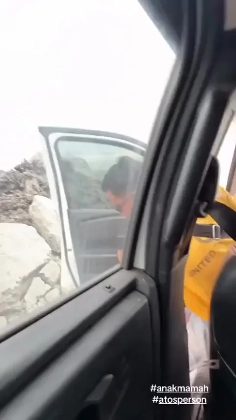 Очистка дорожного знака от... ос