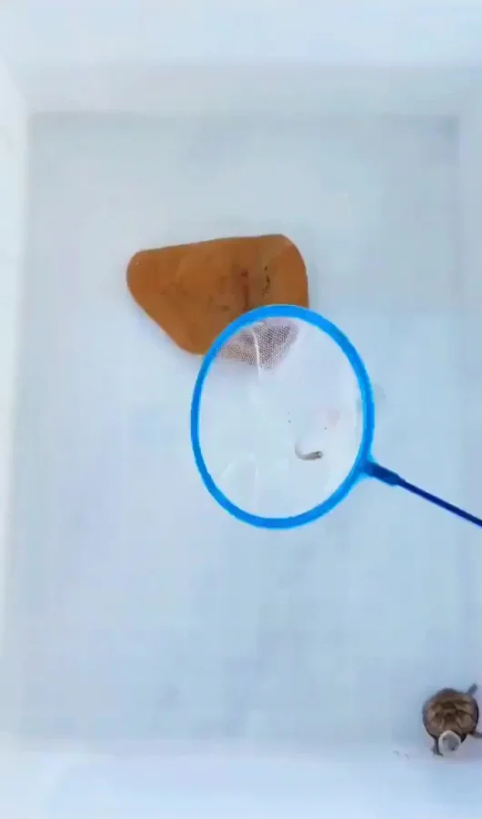 Хочешь жить-умей вертеться