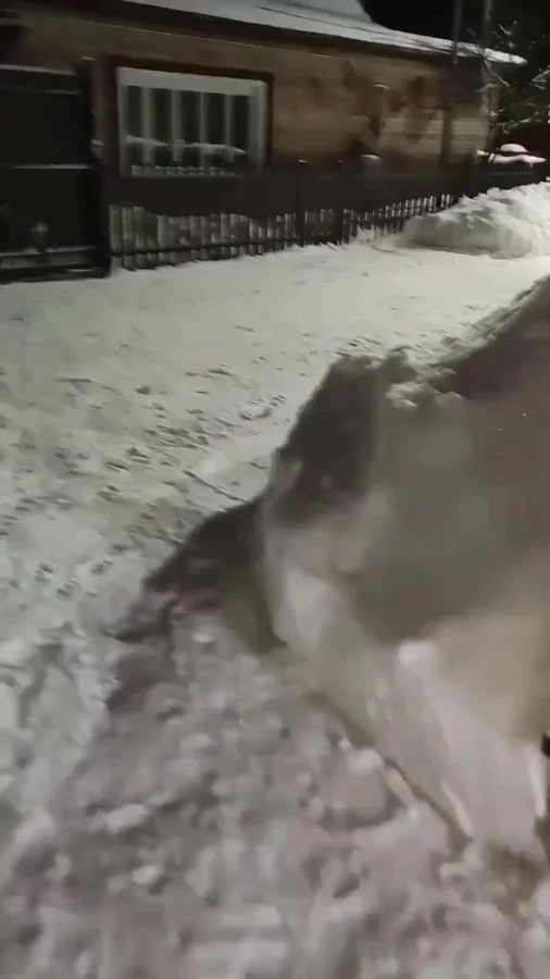 Не делай добра, не получишь зла!