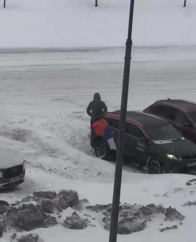 Говорили же: сиди дома!