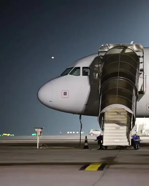 Ща как брата позову