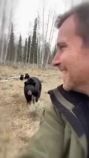 Человек и медведь