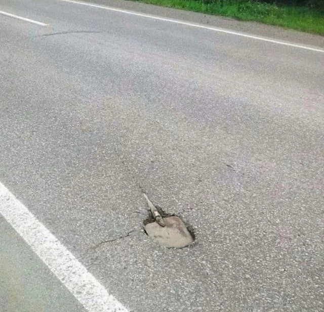 Антидепрессанты в картинках: для тех, кому нужно взбодриться