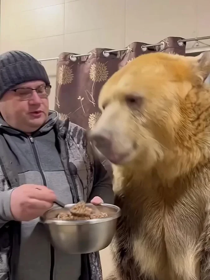 За маму, за папу...