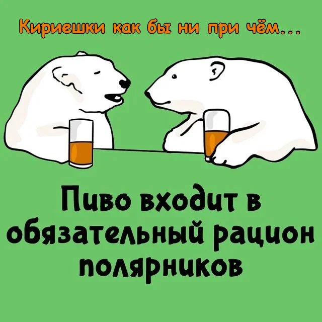 Чем ближе к Северному Полюсу, тем толще медведи