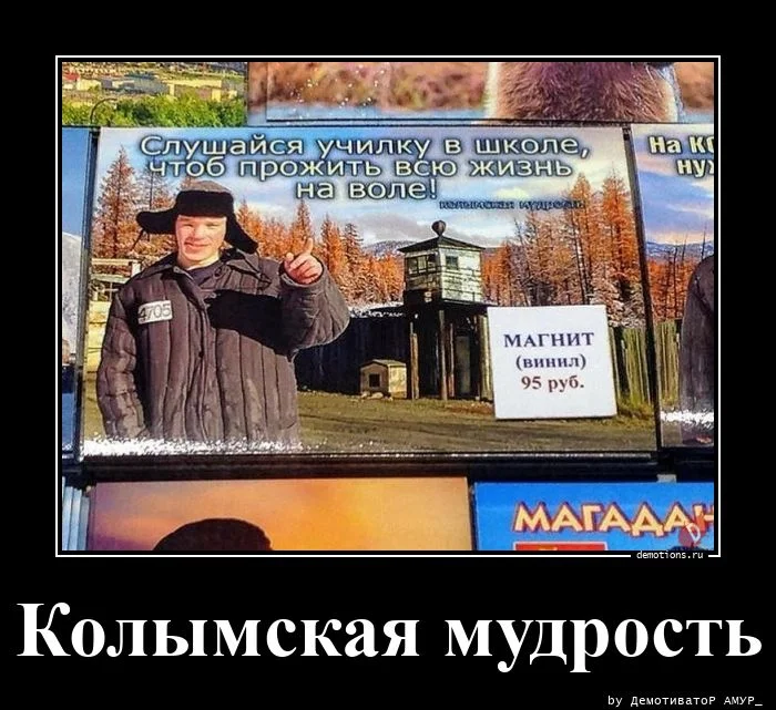 Демотиваторы для вас