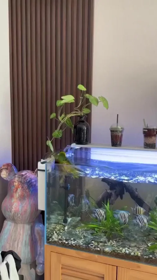 А он знает толк в развлечениях