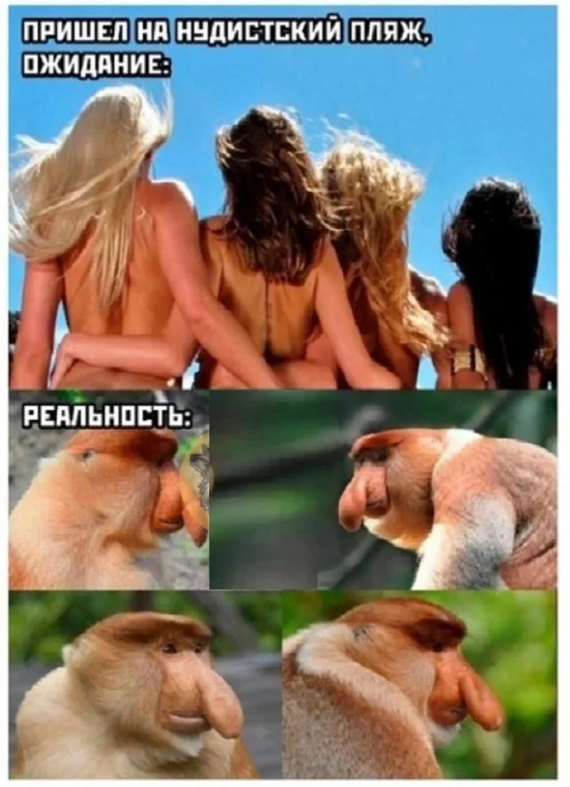 Галерея смыслов и просто красивых кадров