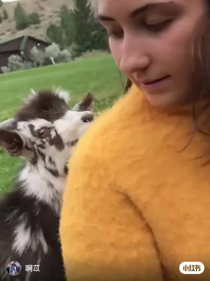 Главное, что они понимают друг друга