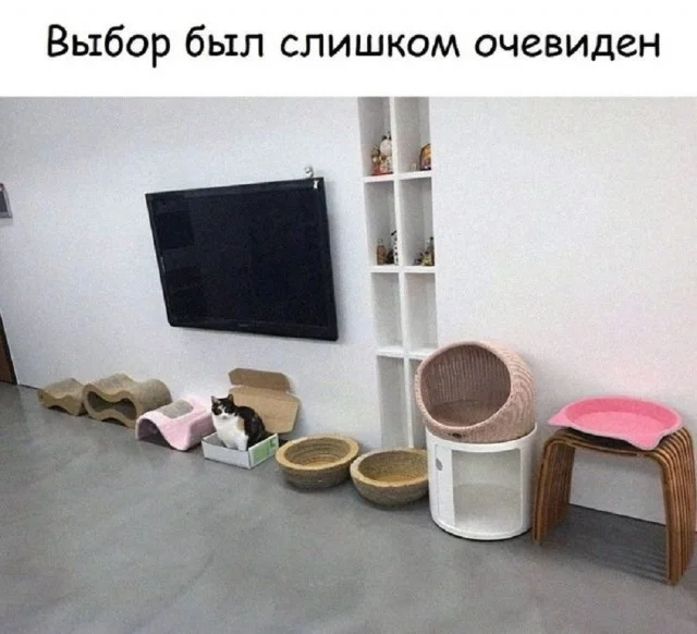 Горяченькие мемы прямо из печи!