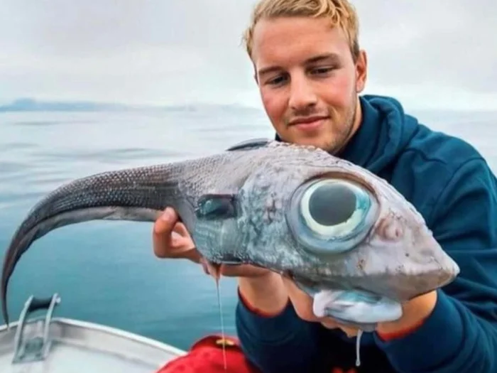 Химера: воплощение кошмара - кровь становится ядом в венах