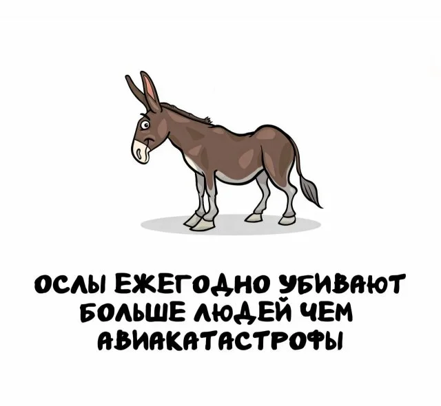 Интересные факты, которые всегда к месту