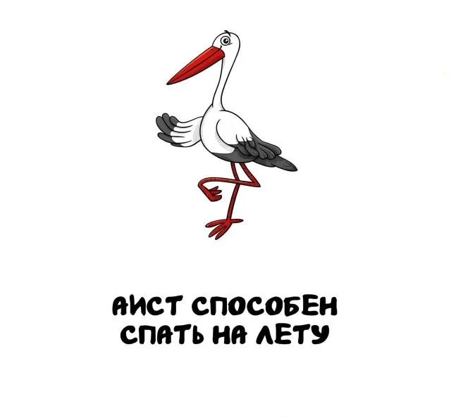 Интересные факты, о которых ты мог не знать