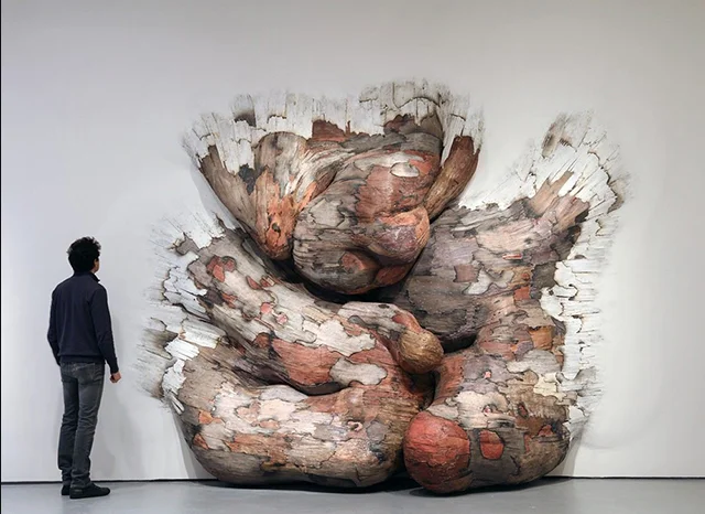 Энрике Оливейра и его природные инсталяции