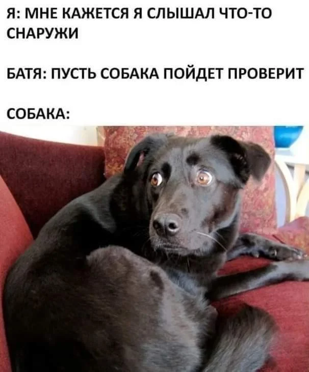 Юмористический апокалипсис: выжить сможет только смех