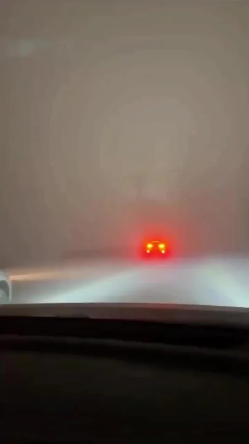 Когда туман создаёт оригинальную атмосферу