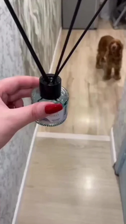 Когда твоя жена с юмором