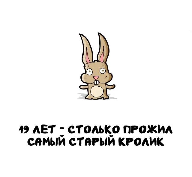 Любопытные факты: Откройте новое для себя