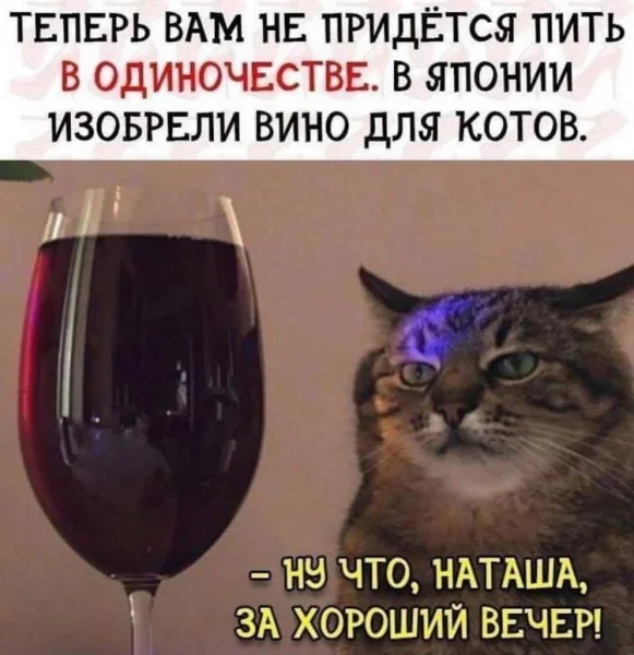 Лучшие шутки и приколы на сегодня!