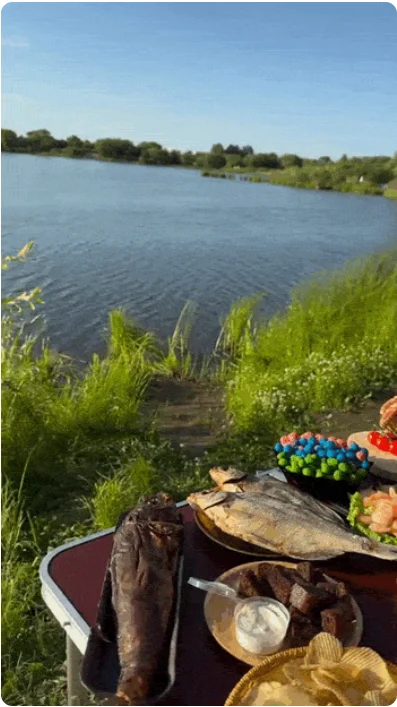 Мир в движении: Коллекция захватывающих GIF-ок