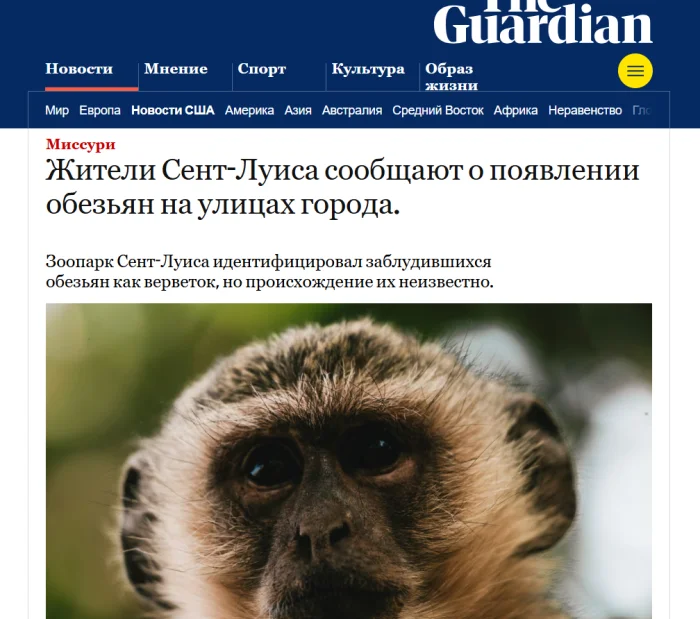 Обезьяний бунт в Сент-Луисе: Полиция бессильна против приматов-гениев