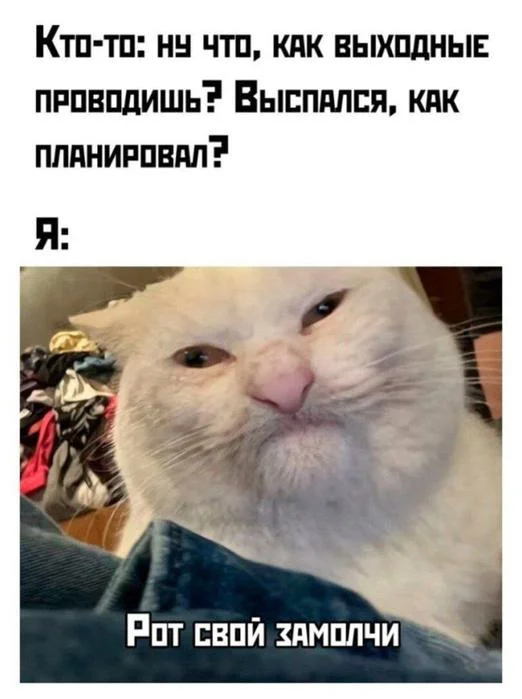 Отличное настроение гарантировано