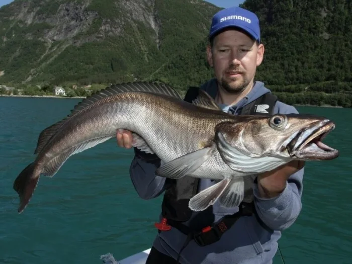 Почему этих рыб всегда продают без головы?