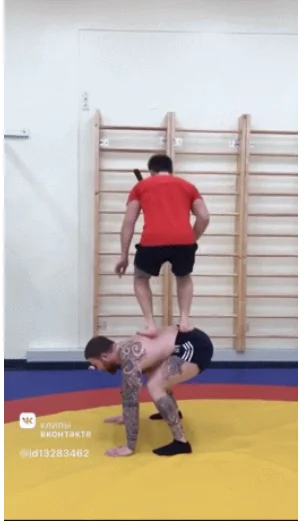 Подборка гифок, которые можно смотреть вечно