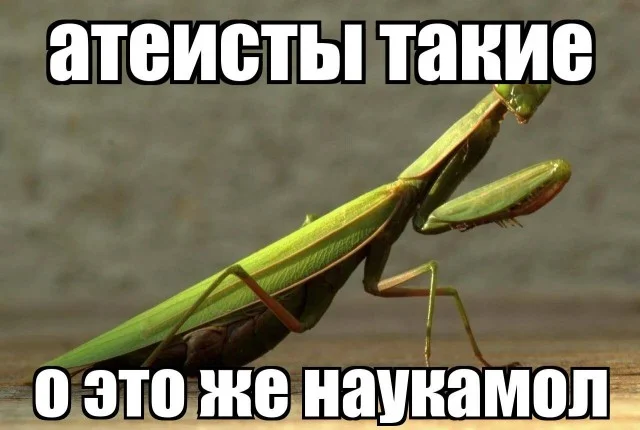 Подборка смешных картинок и мемов, которые поймет каждый