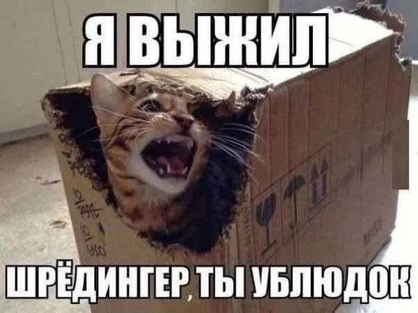 Подборка жизненных мемов для всех