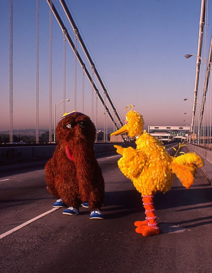 Прикольные фотографии, которые сделают твой день