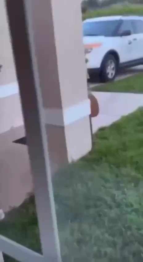 Сам себе злобный буратино