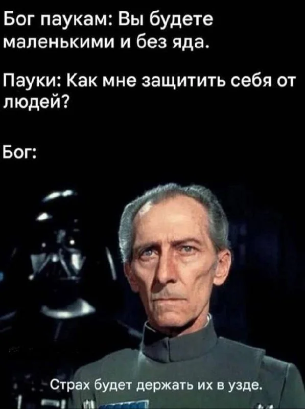 Сборная солянка: юмор «не первой свежести» для отдыха