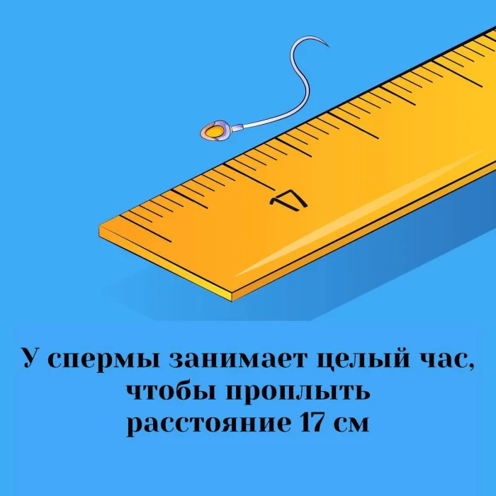 Сексуальная правда: 15 фактов, которым не научат в школе #246