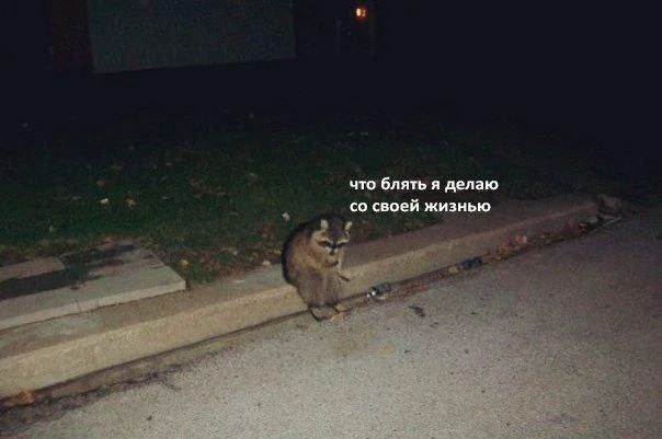 Смешно. Местами старо. Всё как мы любим