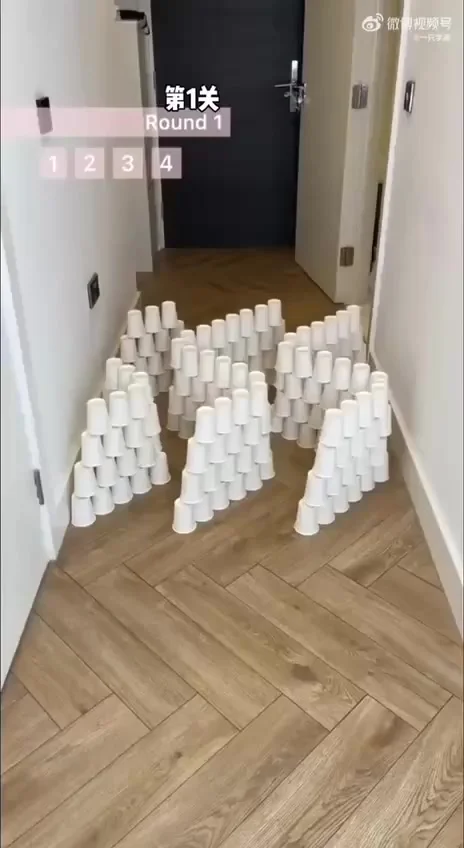 Сообразительный кот