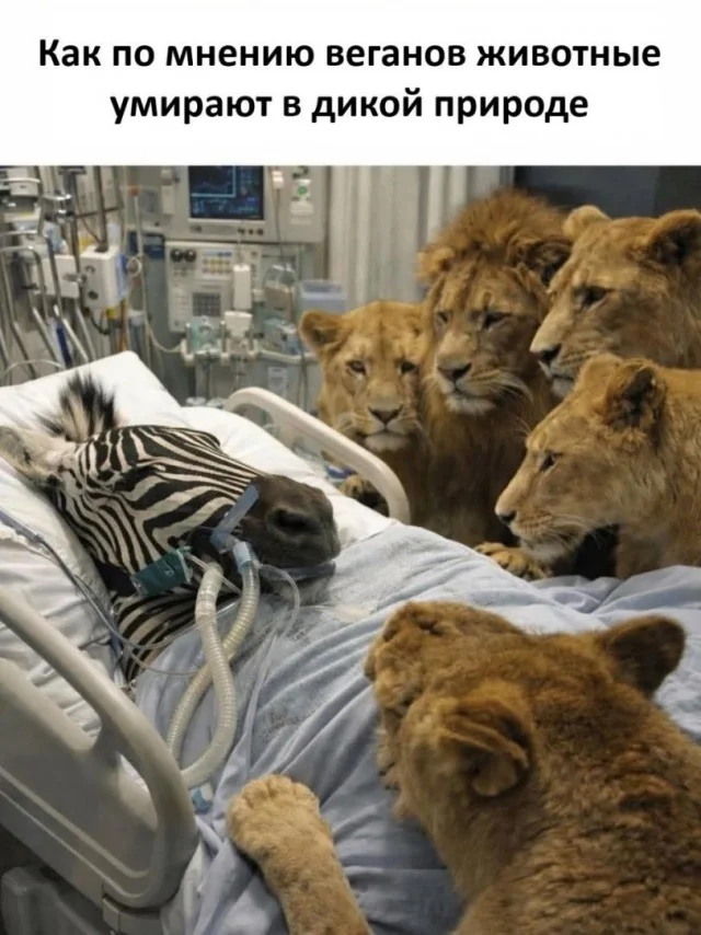 Темная сторона смеха: порция отборного черного юмора.