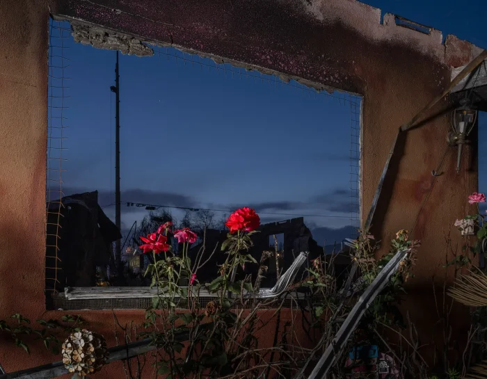 Time представляет: главные фотографии 2025 года #3