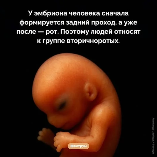 Твоя доза мемов на сегодня