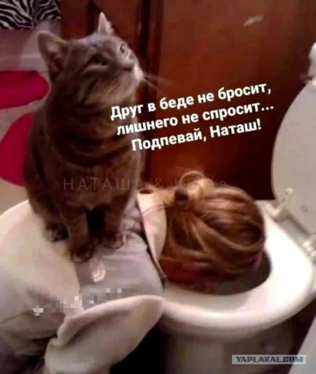 Забудьте о грусти, здесь мемы