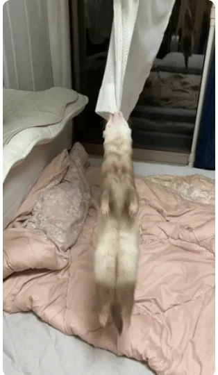 Залипательные гифки: на любой вкус и цвет!