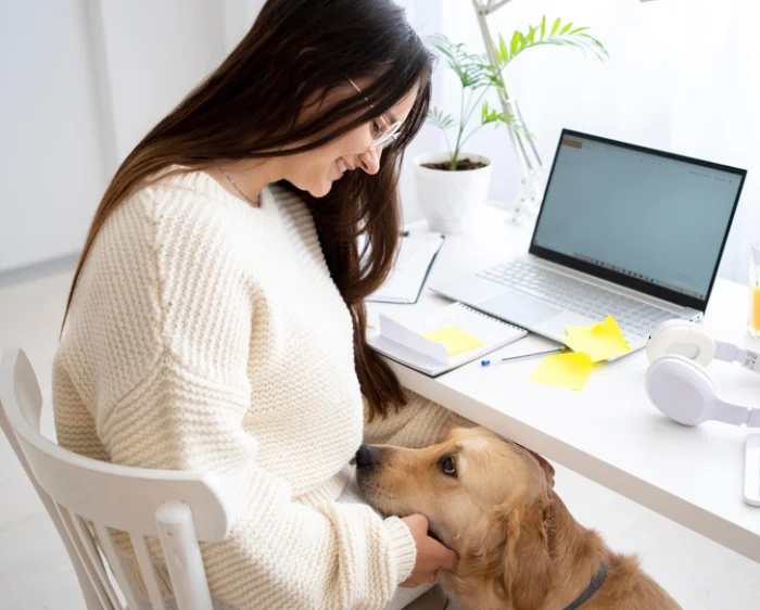 16 собеседований, в которых было больше смешного, чем серьезного