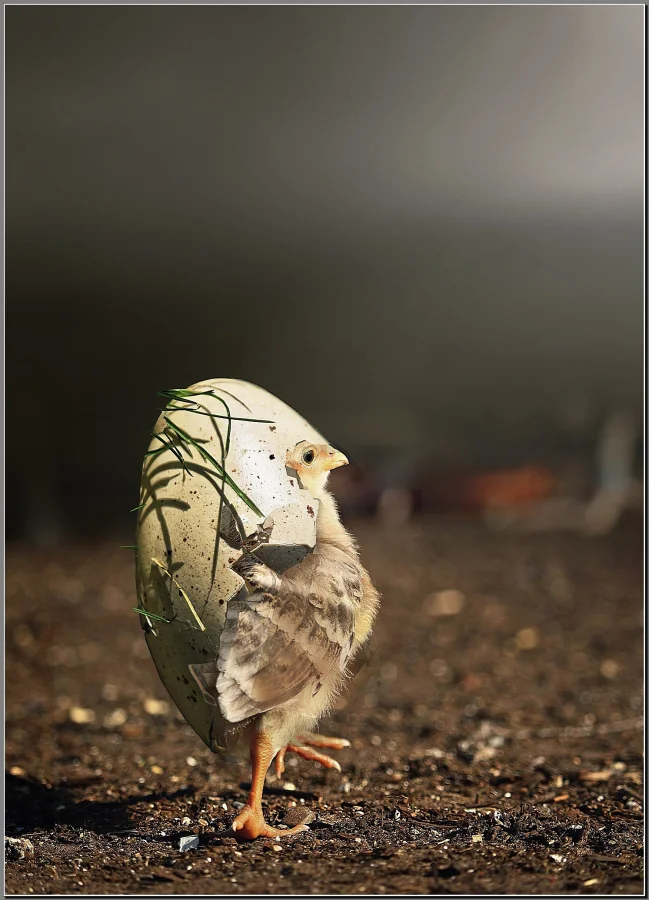 25 фотографий, наполненных теплотой и нежностью