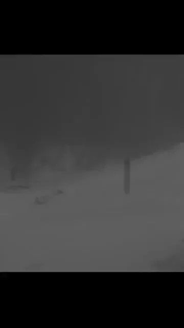 Газелисту не повезло