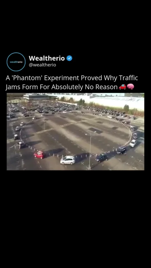 Этот эксперимент показывает, что пробки на дорогах могут появляться совершенно без причины